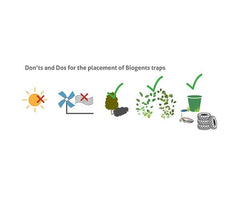 Biogents CO2 Bundle - Highly effective trap against a broad range of mosquito species - BG-Mosquitaire - Biogents - luxebackyard