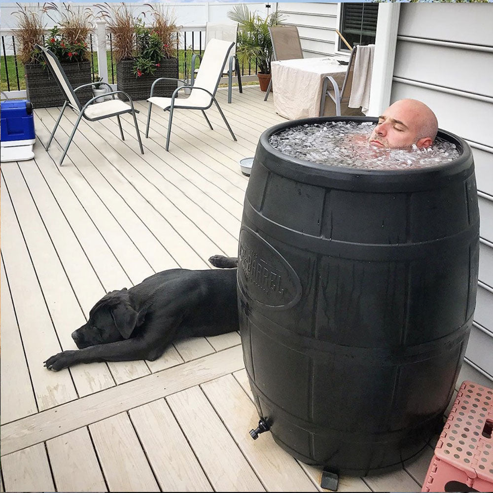 ice barrel dog terrasse